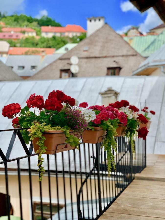 Strieborny Dvor * Banska Stiavnica